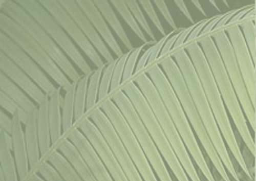 Second Background Image